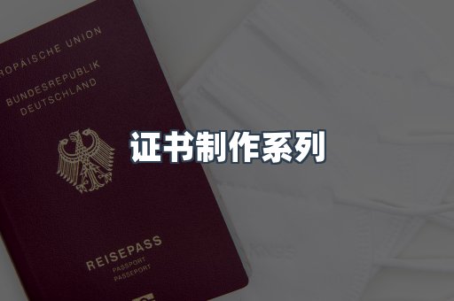 仿制证件24小时
